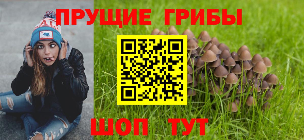 Семёнов  Псилоцибиновые грибы Cubensis  Вход с VPN 